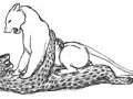 LeopardLioness2.jpg